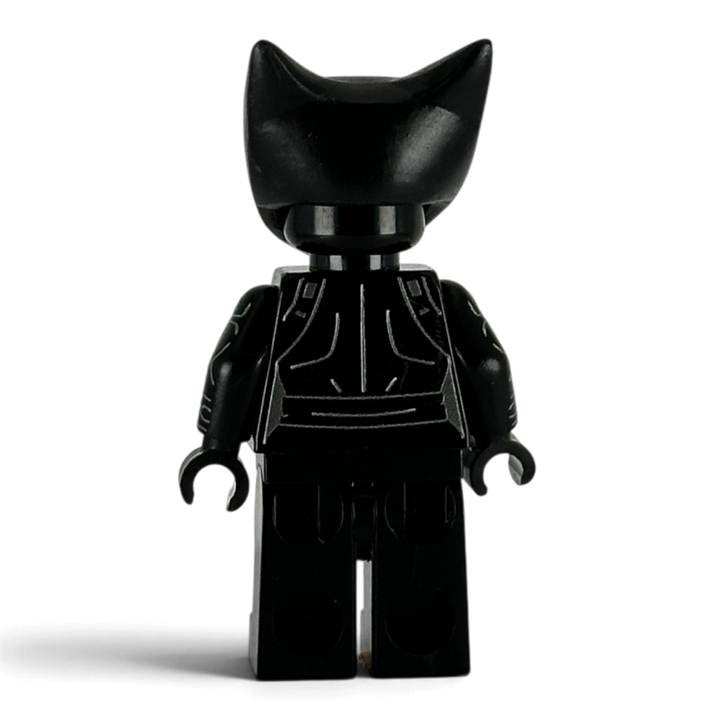 Catwoman Beyond Legacy of the Dark Knight
